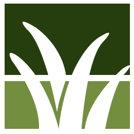 Brush Pick Up Service Pros