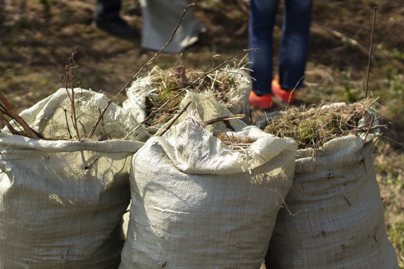 Brush Pick Up Service