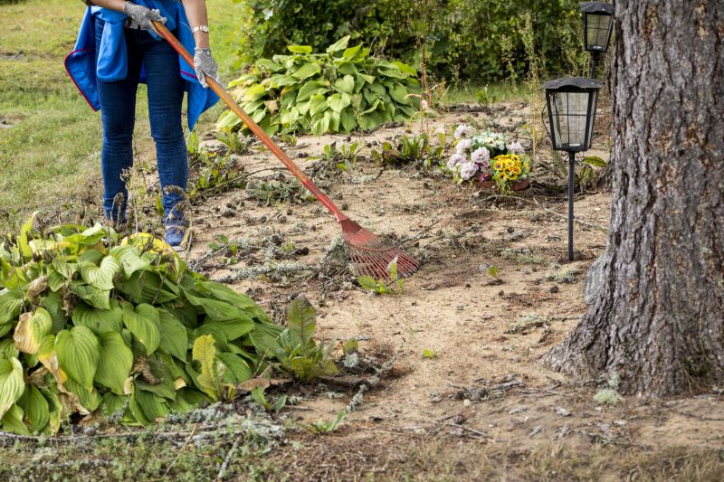 Brush Pick Up Service detail